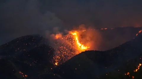 Close up of a wildfire burning at night Stock Footage 74835703