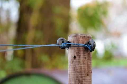 Close-up of a willow corner post with insulators and blue braid Stock Photos