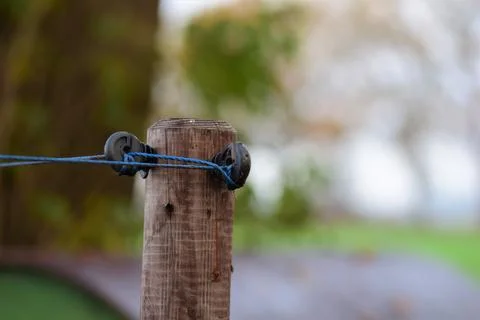 Close-up of a willow corner post with insulators and blue braid Stock Photos
