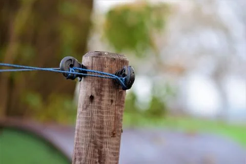 Close-up of a willow post with insulators and blue braid Stock Photos