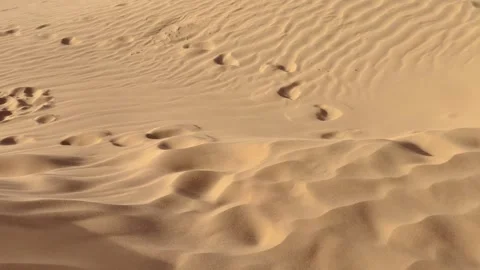 Close up of wind blowing over sand dune in the desert. Stock Footage 333629676