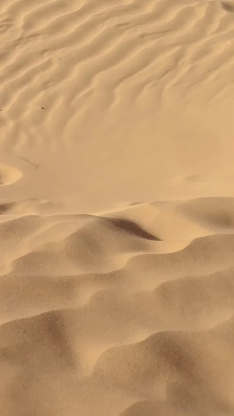 Close up of wind blowing over sand dune in the desert. 動画素材 333823725