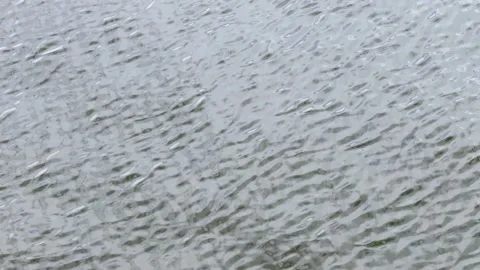 Close-up of wind-driven ripples across a gray water surface, forming flowing Stock Footage 344009886