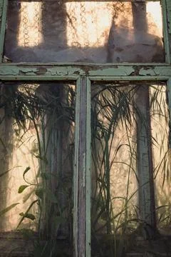 Close up window concept photo Stock Photos