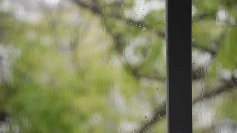 Close up on window glass with rain drops as trees shake and move in winter wind Stock Footage 149915436