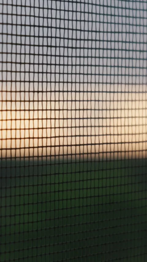 Close-Up of Window Mosquito Net Screen Against Sunset Landscape Background Stock Footage 334736177