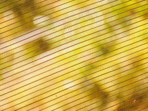 Close-up window netting / mesh against background of blurred green vegetation Foto stock