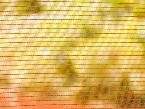 Close-up window netting / mesh against background of blurred green vegetation Stock Photos