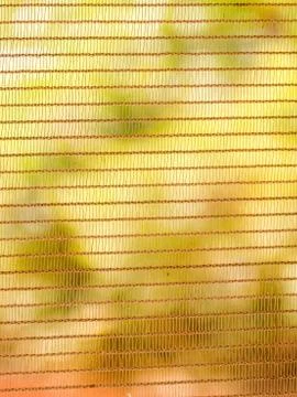 Close-up window netting / mesh against background of blurred green vegetation Stock Photos