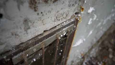 Close up of window on old concrete building Stock Footage 158979656