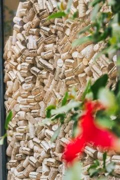 Close-up of wine corks with red flower in foreground Fotos Stock