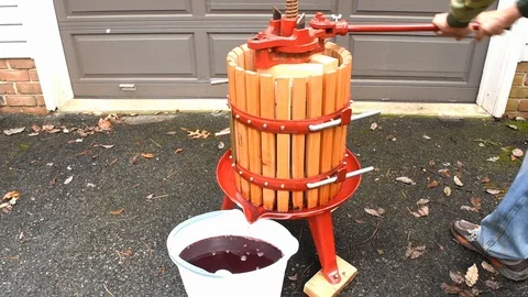 Close up of Wine Press operation Video stock 117738396