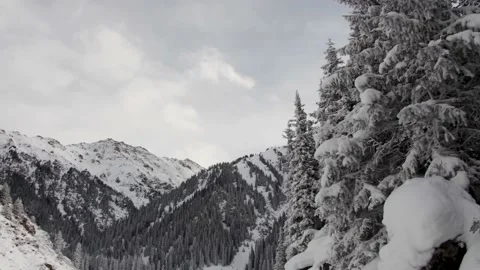 Close Winter mountain landscape. Snow covered spruces. Man driving snowmobile Stock Footage 144046191