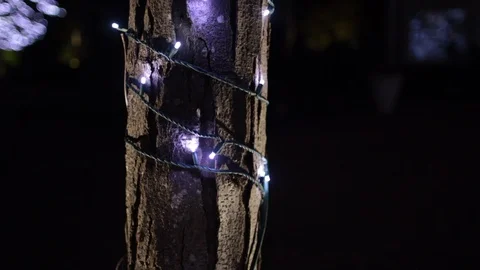 Close winter tree covered in twinkle lights slow moving Stock Footage 98435989