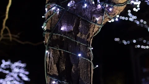 Close winter tree covered in twinkle lights slow Stock Footage 98436021