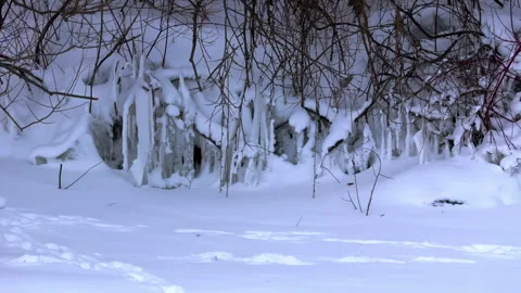 Close-Up Winter View of Icicles and Snow-Covered Branches in a Frozen Landscape Stock Footage 300687455