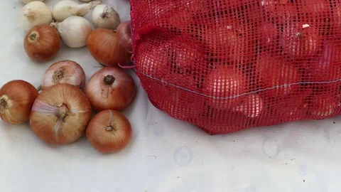 Close-up wintery white, red onion 스톡 동영상 101119403