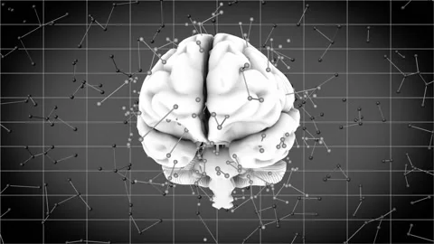 A close up of a wire fence Stock Footage 157758264