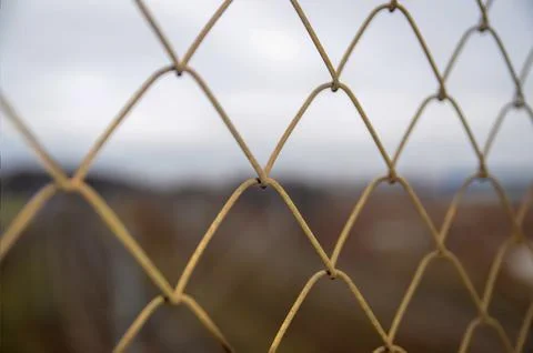 Close-Up of Wire Fence with Soft Background Blur Stockfoto's