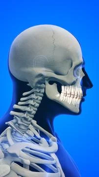 Close-up of wisdom teeth pain concept イラスト素材