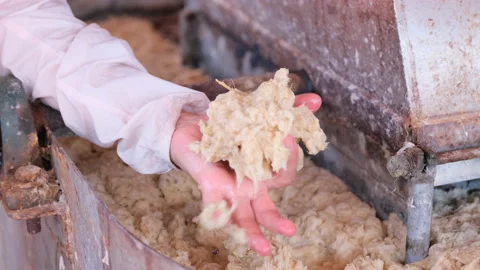 Close up woman hand hold paper tissue that are produced from elephant poop Stock Footage 155409710