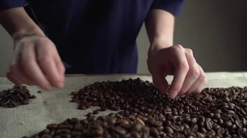 Close up woman hands sorting poor quality's of rusted coffee beans Stock Footage 82150938
