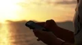 Close up of Woman Hands Using Smart Phone at Sunset. Slow Motion. HD Footage