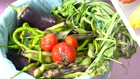 Close Up Of Woman Making Compost From Vegetable or Fruit Leftovers In Kitchen. Stock Footage 145702238
