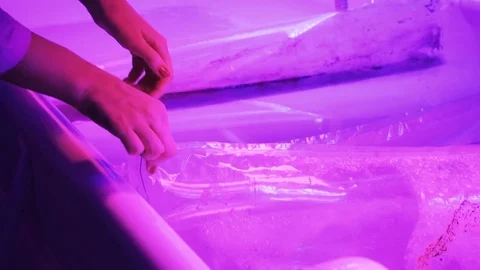 Close up of woman scientist checking the experiment process 스톡 동영상 75343599