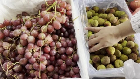 Close Up of Woman Selecting Fresh Lychee at Traditional Market Stock Footage 336977184
