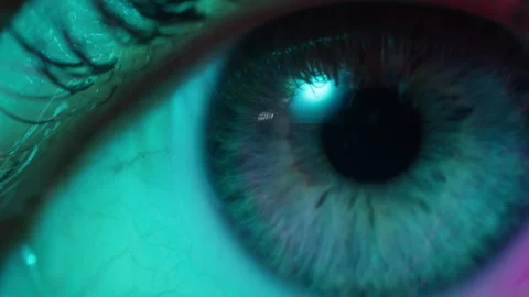 Close-up womans blinking eye with long eyelash and contact lens. Beauty make up Stock Footage 285758404