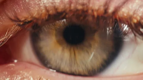 Close-up womans blinking eye with long eyelash and contact lens. Beauty make up Stock-Footage 285758449