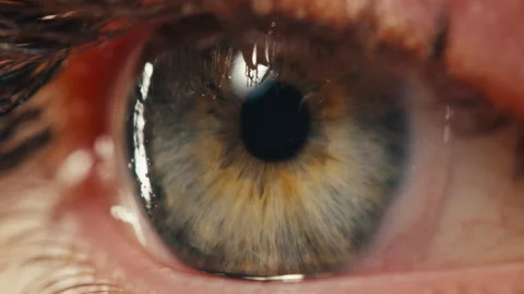 Close-up womans blinking eye with long eyelash and contact lens. Beauty make up Stock-Footage 285758516