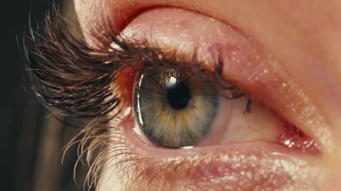 Close-up womans blinking eye with long eyelash and contact lens. Beauty make up Stock-Footage 286130793