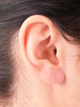 Close-up woman's ear Stock Photos