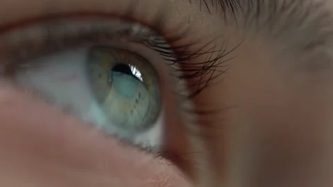 Close-up Of Woman's Eye Looking Into Computer Monitor Stock Footage 220795886