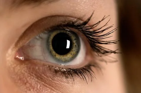 A close up of a Woman's eye Stock Photos