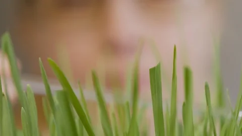 Close-up of a woman's face, looking at the growing stems of a green plant Stock Footage 107234376