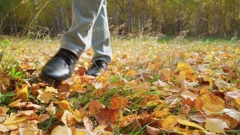 Close-up of a woman's feet touching fallen yellow leaves in the autumn forest. Stock Footage 251845861