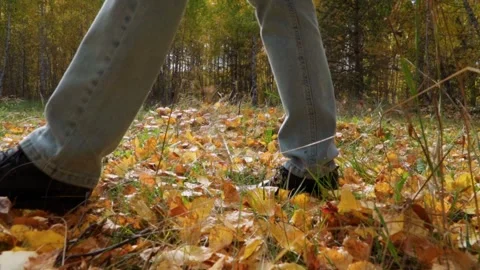 Close-up of a woman's feet walking through the grass with fallen yellow leaves. Stock Footage 252805109