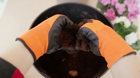 Close-up of a woman's gloved hands shredding and shoveling soil in a basin Stock Footage 212113384
