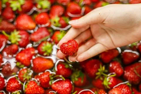 Close-up of a woman's hand against the background of ripe juicy strawberries  Stock Photos