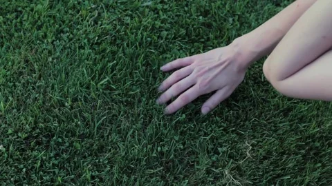 Close up of a woman's hand caress grass Stock Footage 78761157
