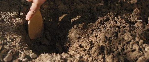 Close up of a woman's hand digging soil with wooden spoon,preparing for plant Stock Footage 128289805