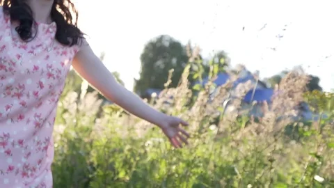 Close up woman's hand holding grass lit evening sun Stock Footage 82969943