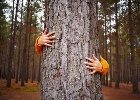 Close-up woman's hand hugging tree trunk Stock Photos