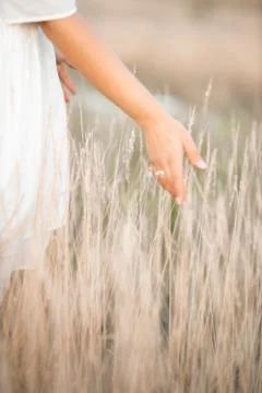 A close up of a womans hand Stock Photos