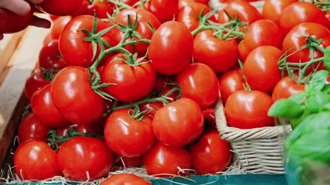 Close up of a woman's hand picking tomatoes at a market Stock Footage 311567809