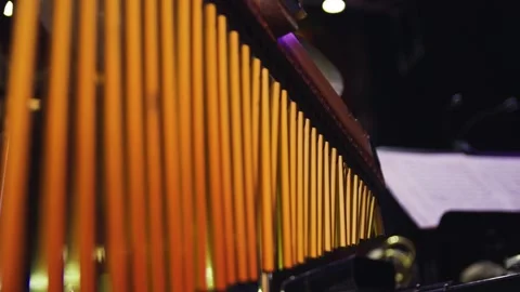Close-up of a woman's hand playing the bar chimes at the concert. Orchestra. Stock Footage 303408121