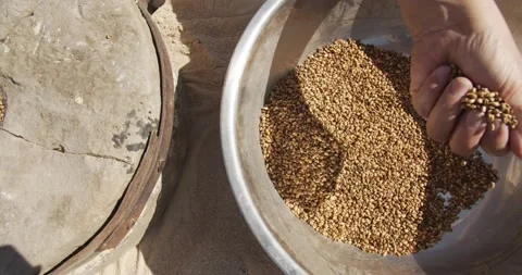Close up. A woman's hand pours wheat into the hand-driven millstone. Slow motion Stock Footage 142133102